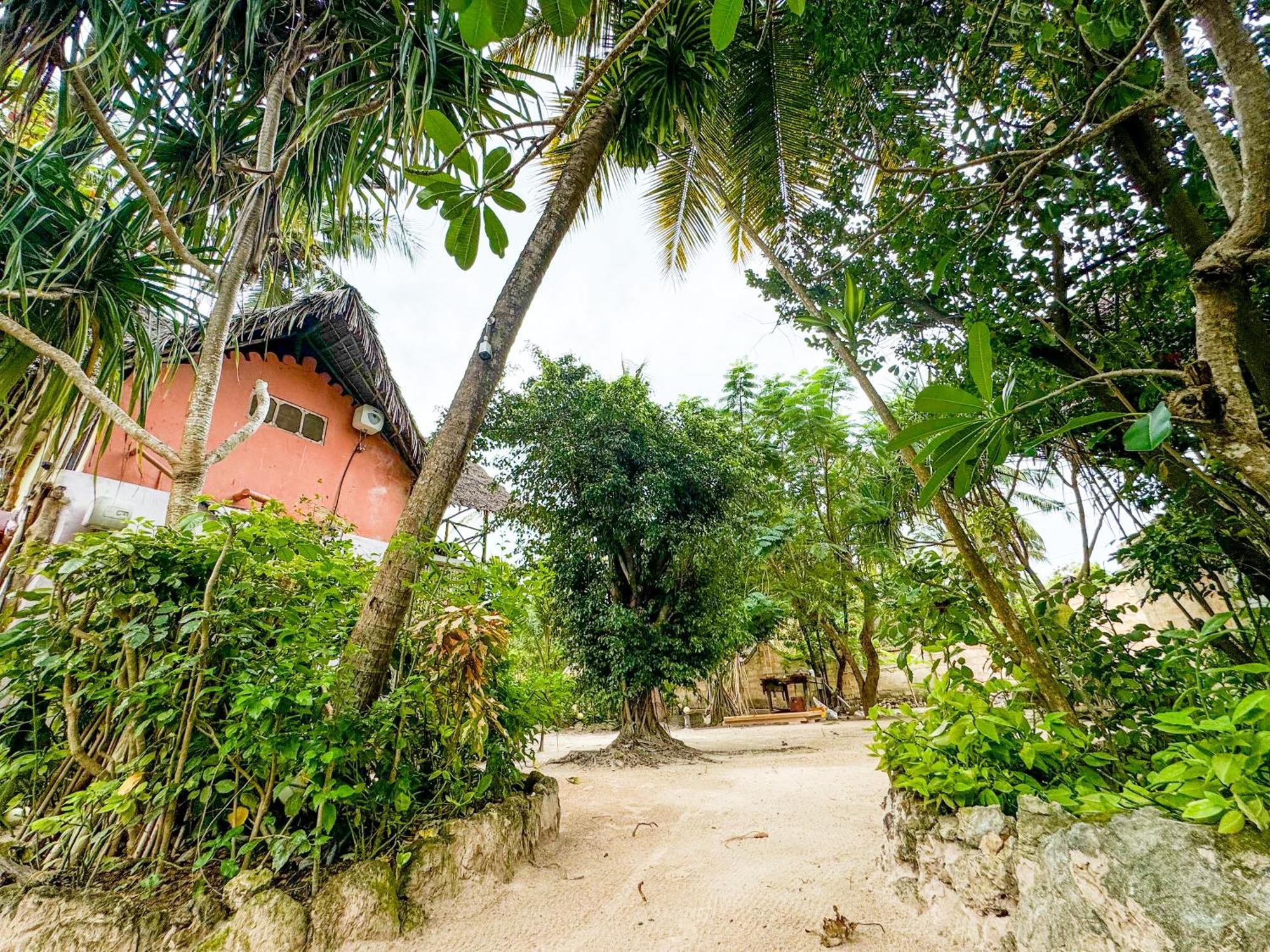 Sagando Bungalows Zanzibar Michamvi Kae Exterior photo